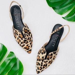 Sole Society Tayja leopard deep v slingback flats